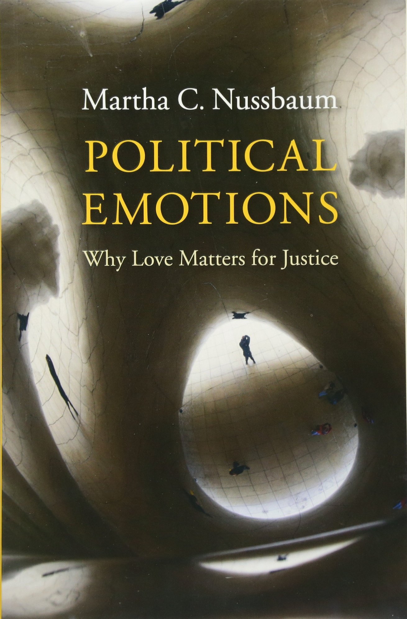 political emotions