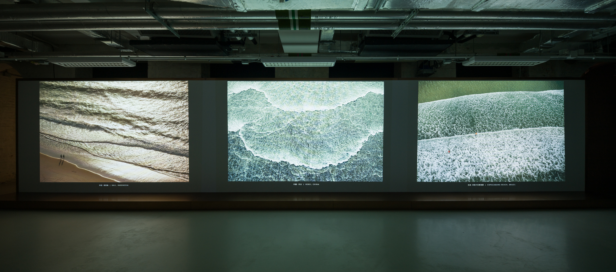 Book of Changes The Art of Basil Pao_5