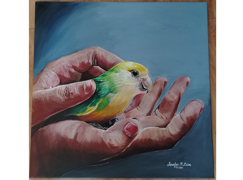 螢幕截圖 2026-02-15 上午10