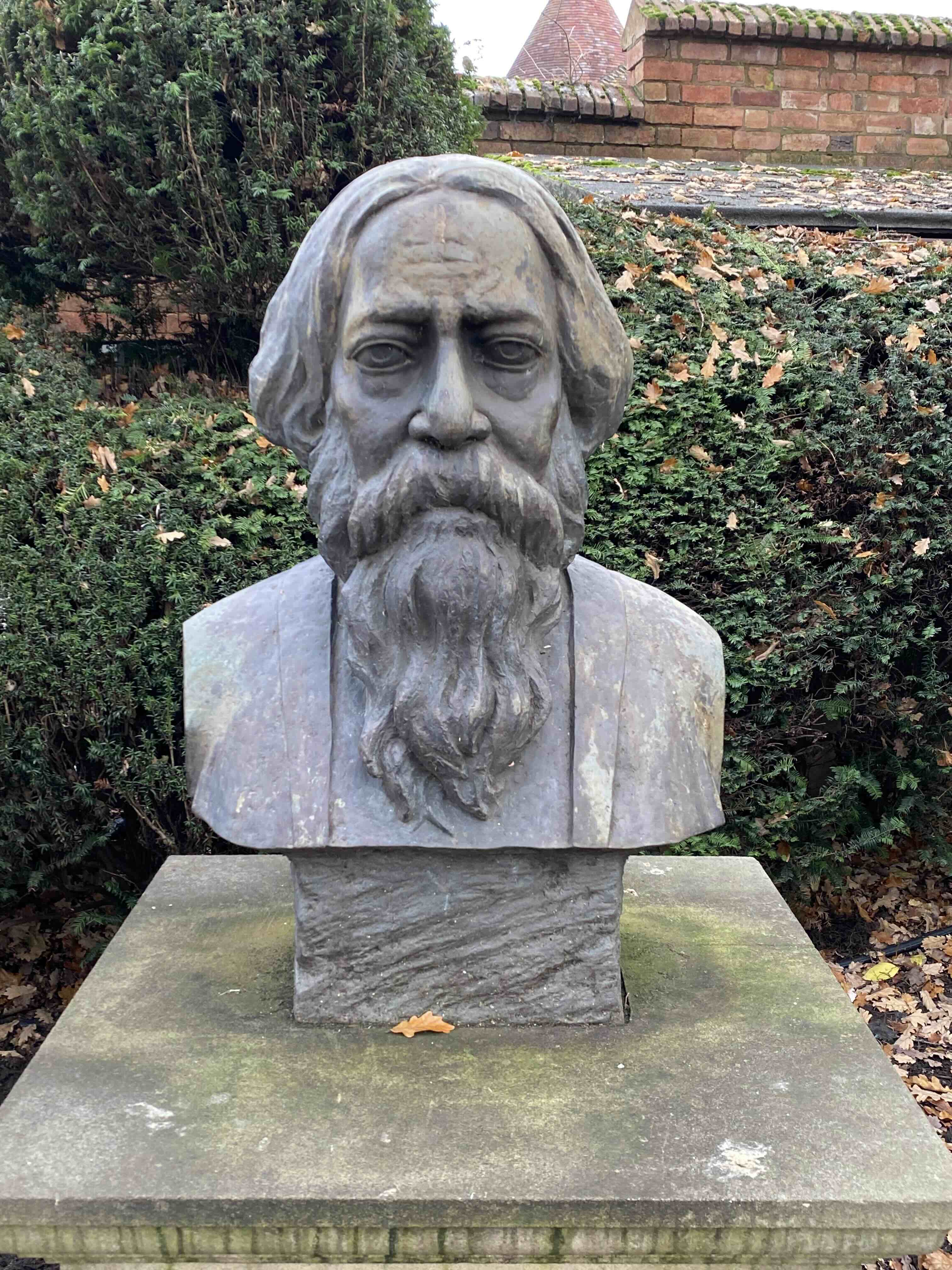 Picture 21
