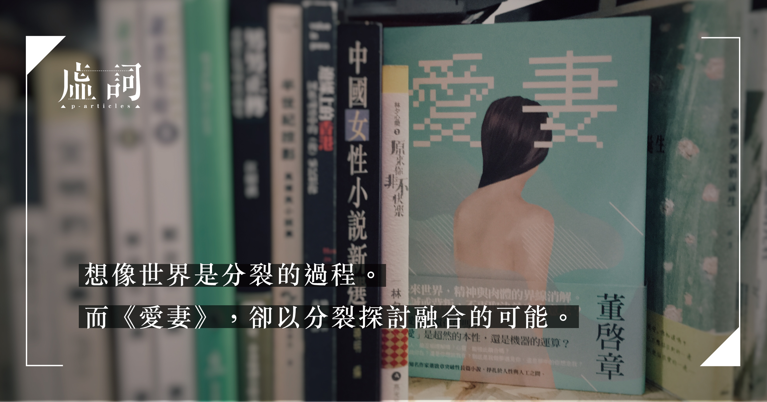 愛妻 小說